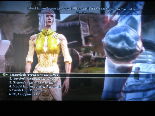 dragon-age-screenshot-elf-examine-halla