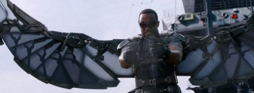 falcon