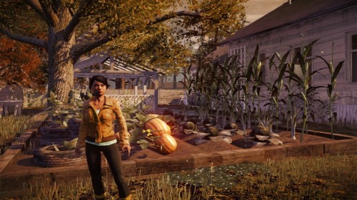 garden_1