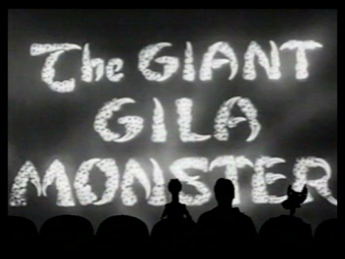 gila