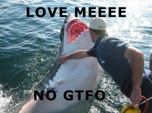 love-me-no-gtfo