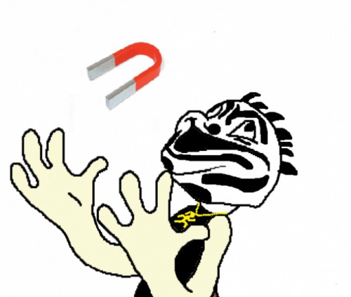 magnets-icp-6GYP9v